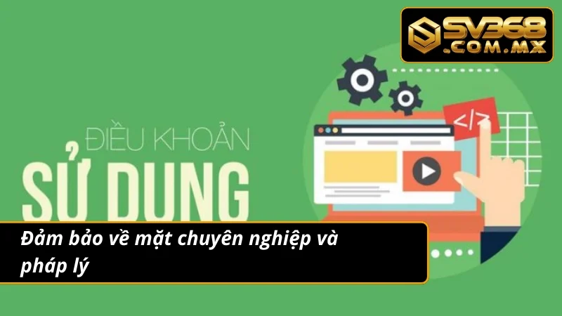 Điều Khoản Và Điều Kiện SV368 3 Điều khoản và điều kiện về tính chuyên nghiệp và pháp lý